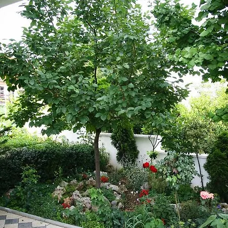 Apartment Katarine Zrinske *