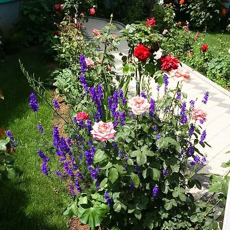 Apartment Katarine Zrinske *