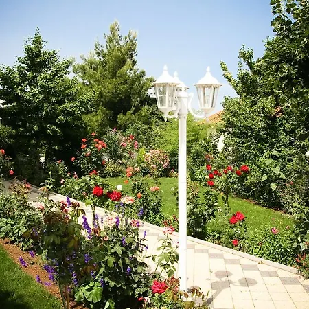 Apartment Katarine Zrinske *